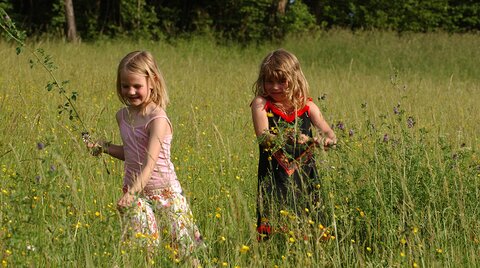 Mädchen auf der Blumenwiese