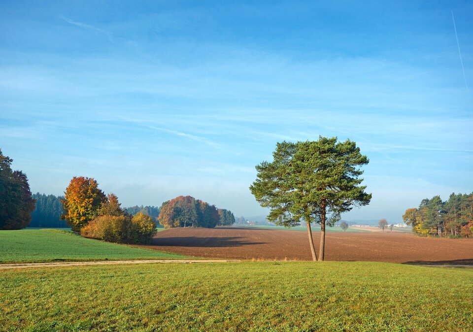 Sommer Landschaft