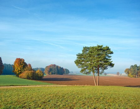 Sommer Landschaft