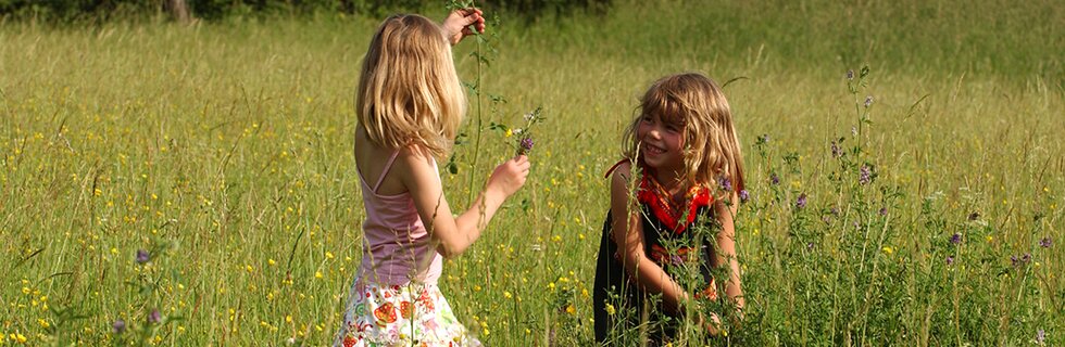 Mädchen pflücken Blumen auf der Wiese