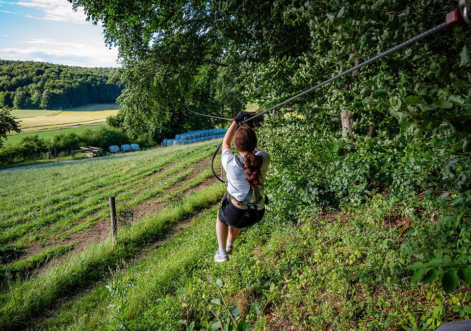 Flying Fox von Baum zu Baum