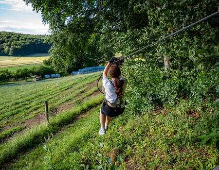 Flying Fox von Baum zu Baum