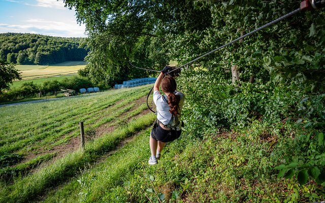 Flying Fox