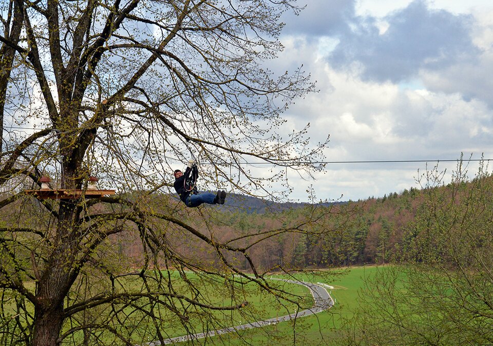 Flying Fox von Baum zu Baum