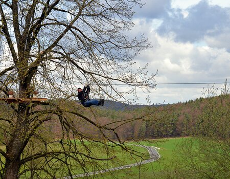 Flying Fox von Baum zu Baum