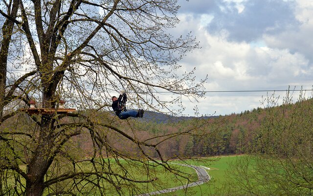 Flying Fox