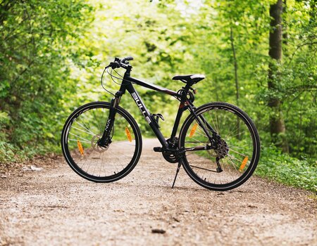 Fahrrad steht im Wald
