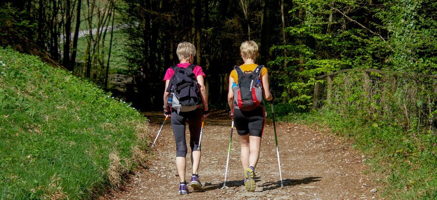 Spaziergang durch die Wälder