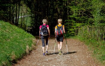 Wandern im Wald