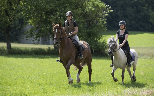 Pferde reiten