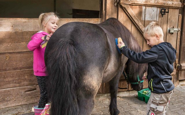 Kinder beim Pferde striegeln