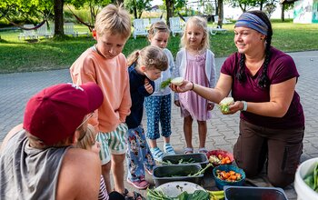 Futter zusammenstellen Futter zusammenstellen