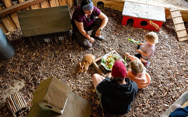 Familie besucht die Hasen im Stall