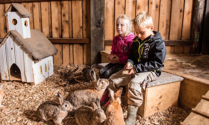 Kinder im Hasenstall