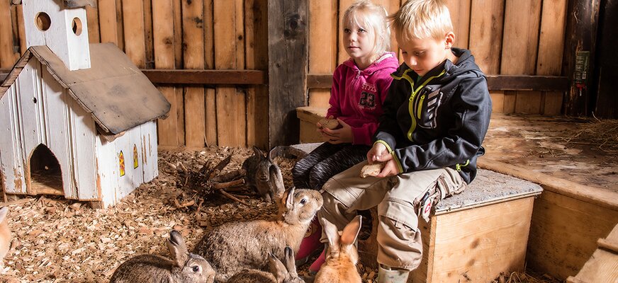 Kinder im Hasenstall