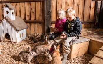 Kinder im Hasenstall