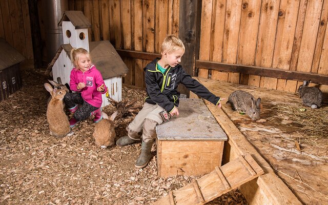 Kinder spielen mit Hasen