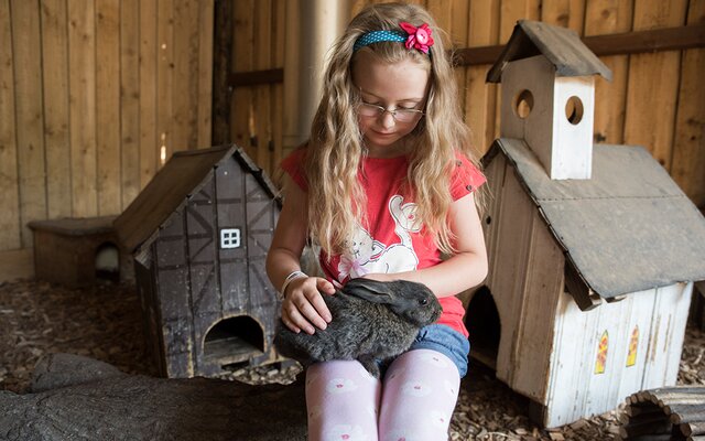 Mädchen streichelt Hase