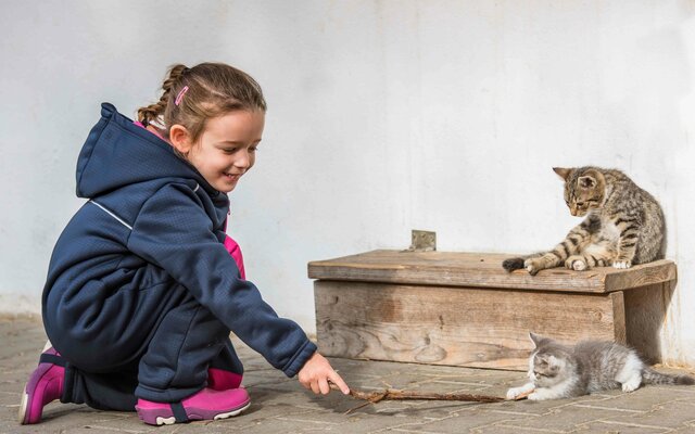 Mädchen spielt mit Katze