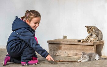 Mädchen und Katze