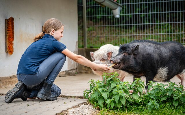 Leben am Bauernhof