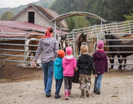 Kinder auf dem Weg zu den Pferden