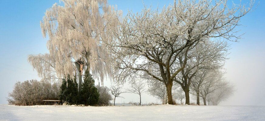 Winterlandschaft