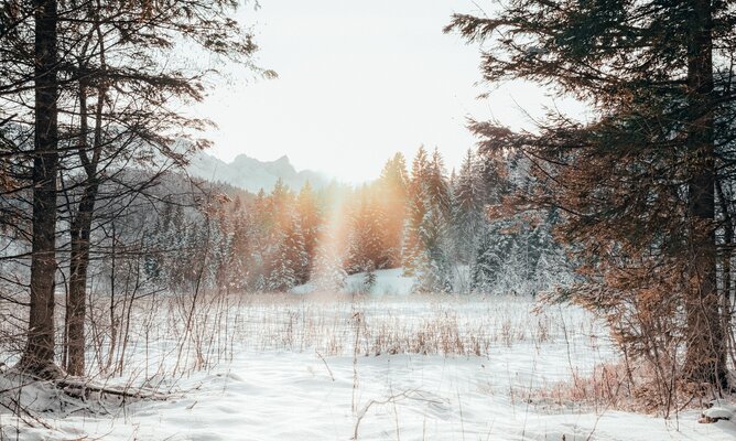 Traumhafte Winterlandschaft