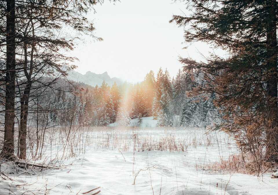 Winterlandschaft Winterlandschaft